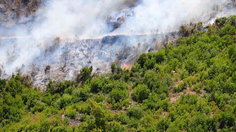 Antalyanın 3 ilçesinde 5 noktada çıkan yangınlar kontrol altında