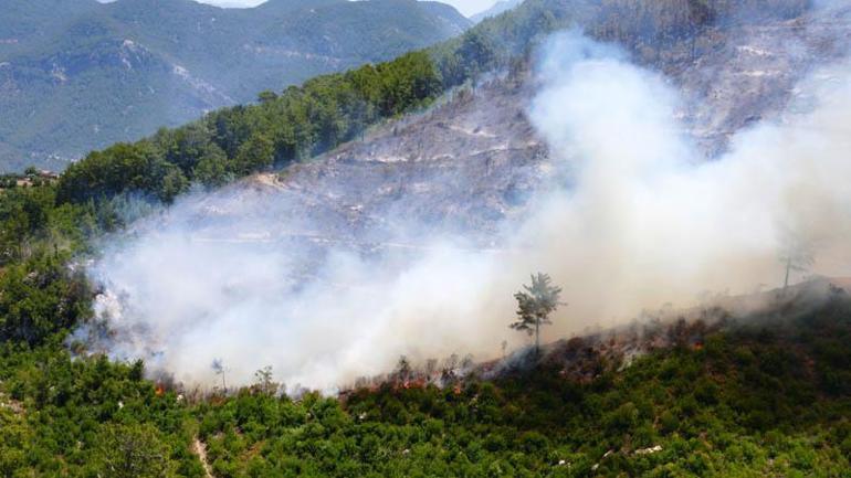 Antalyanın 3 ilçesinde 5 noktada çıkan yangınlar kontrol altında