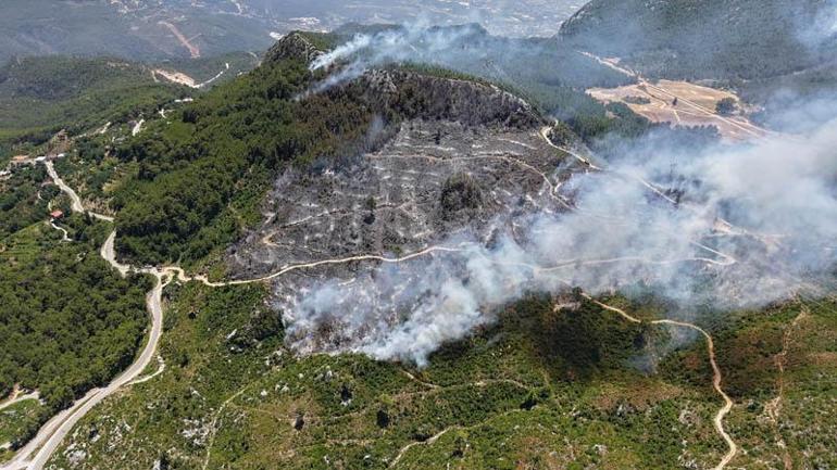 Antalyanın 3 ilçesinde 5 noktada çıkan yangınlar kontrol altında