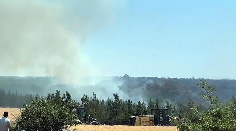 Tekirdağda orman yangını