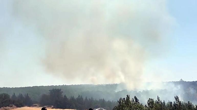 Tekirdağda orman yangını