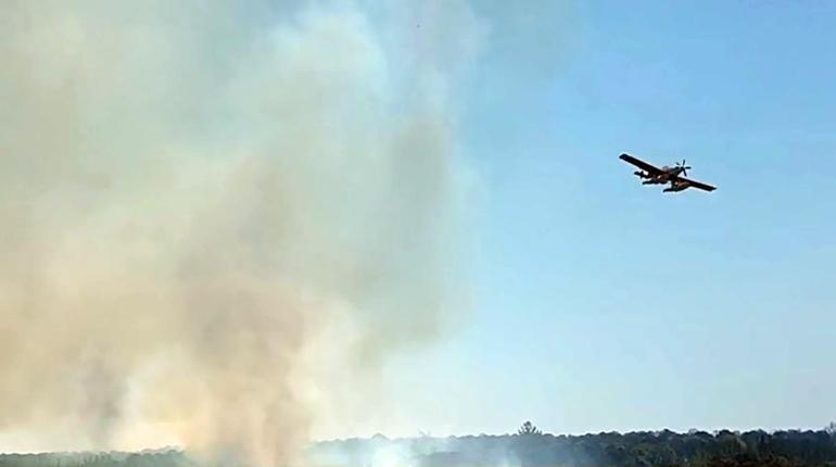 Tekirdağda orman yangını