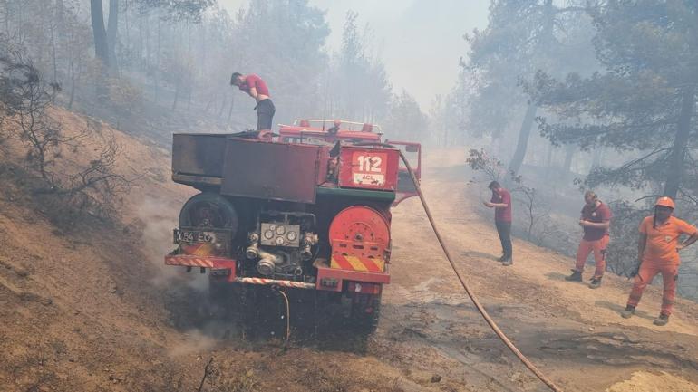 Sakarya’da orman yangını