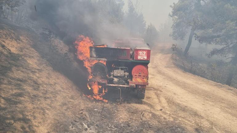 Sakarya’da orman yangını
