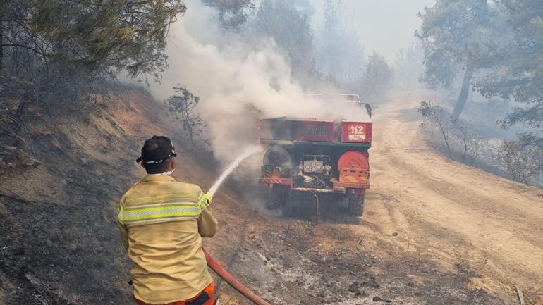 Sakarya’da orman yangını