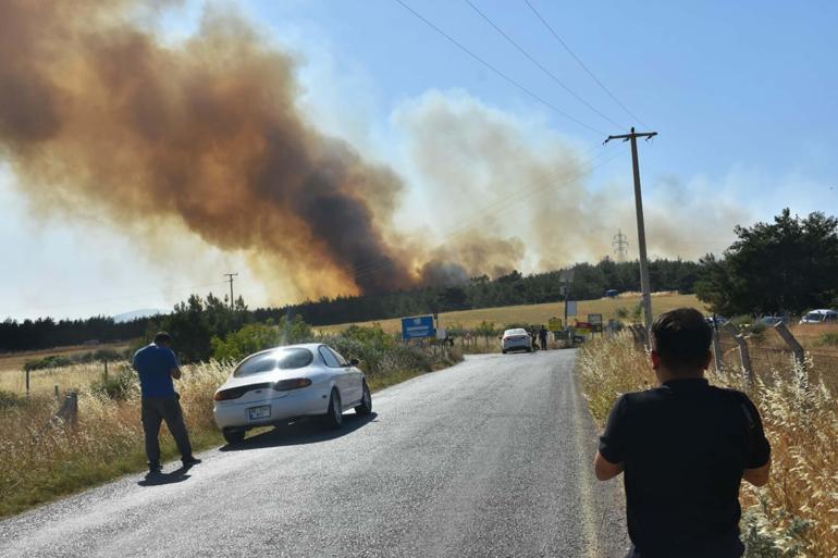 İzmir Bornovadaki orman yangını kontrol altında