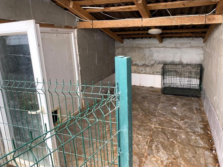 Kırklarelide kaçak cins köpek üretim yerine baskın