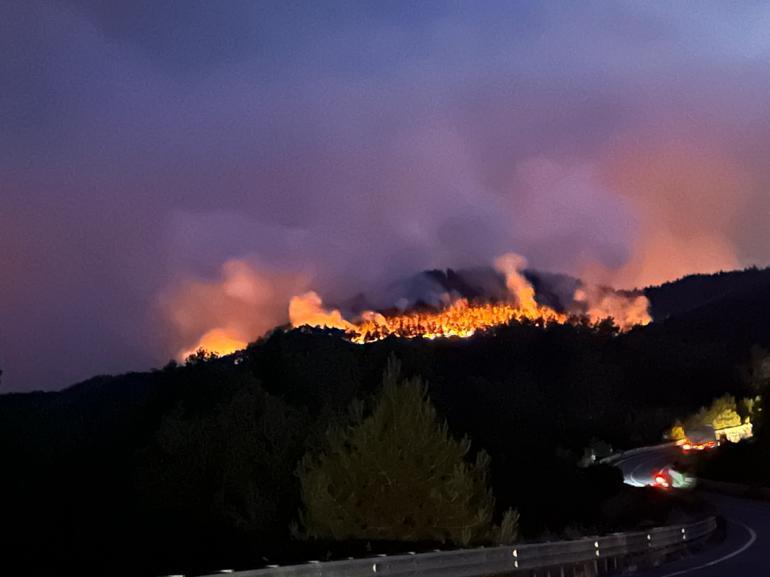 Sakarya’da orman yangını