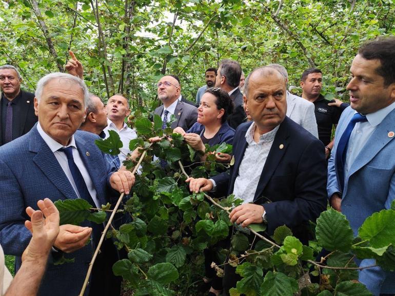 TBMM Zirai Don Olayını Araştırma Komisyonu üyeleri, Giresunda fındık bahçelerini inceledi