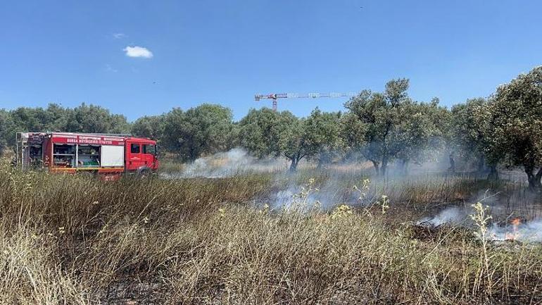 Bursada anız yangınında alevler zeytinliğe sıçradı