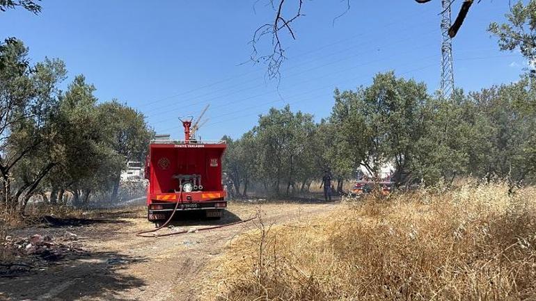 Bursada anız yangınında alevler zeytinliğe sıçradı