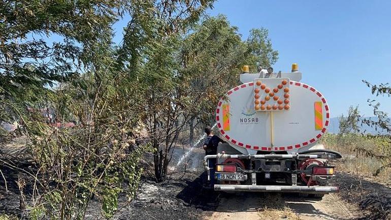 Bursada anız yangınında alevler zeytinliğe sıçradı