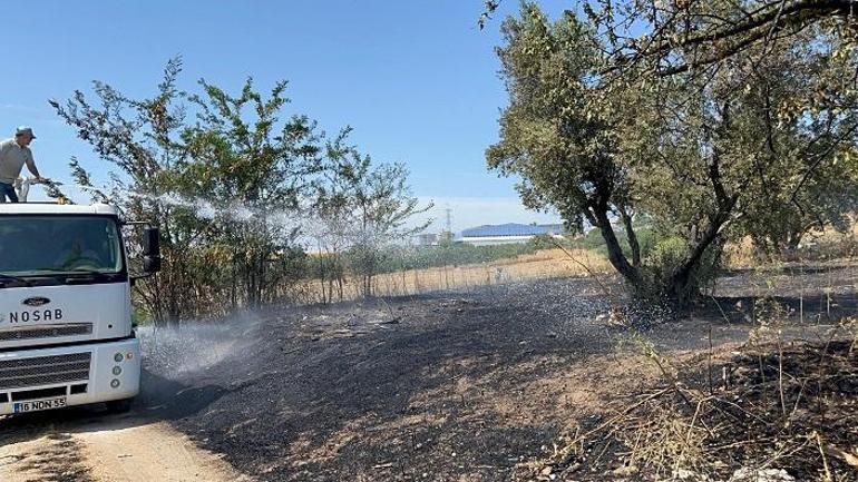 Bursada anız yangınında alevler zeytinliğe sıçradı