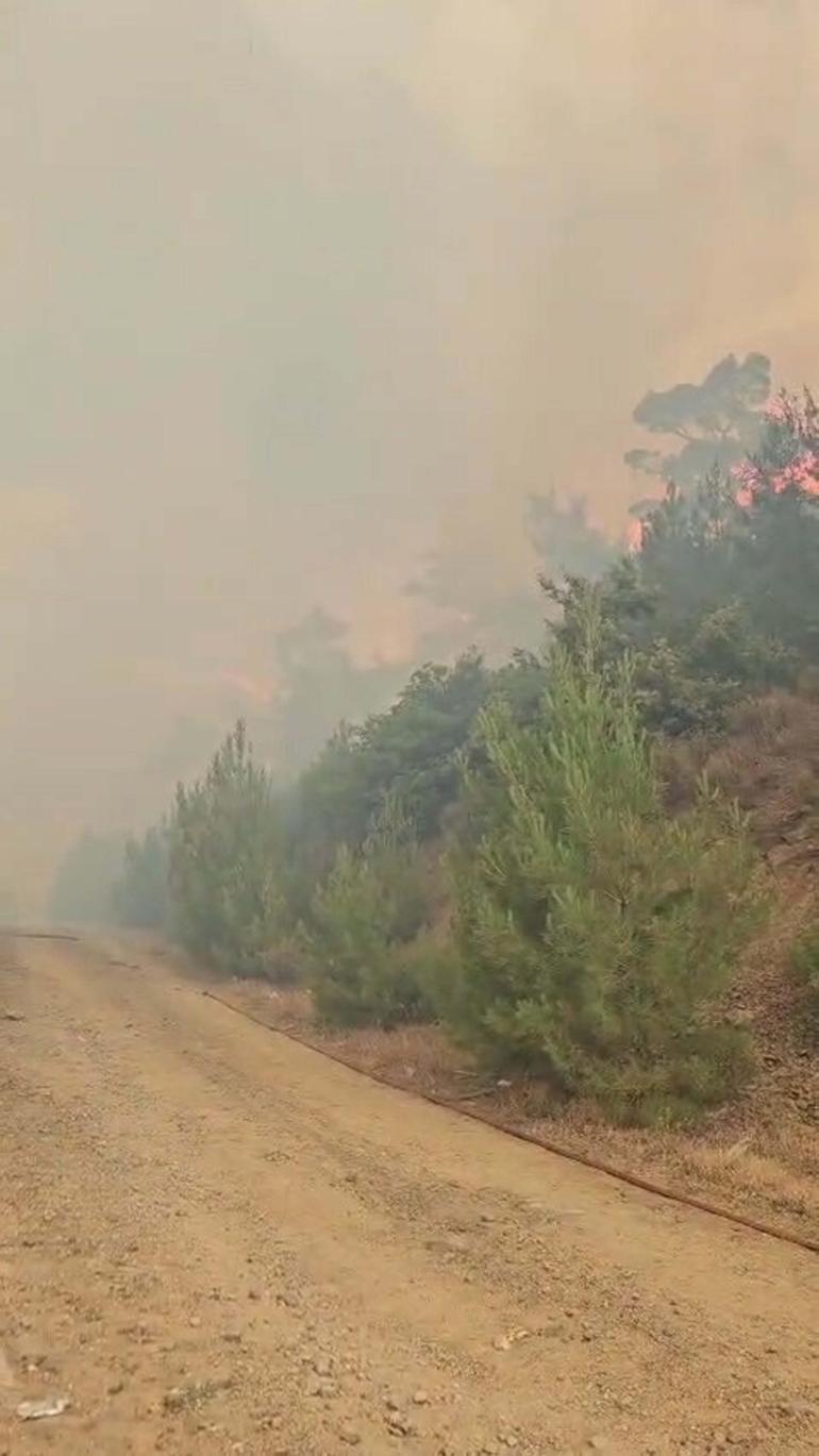 Balıkesirde orman yangını