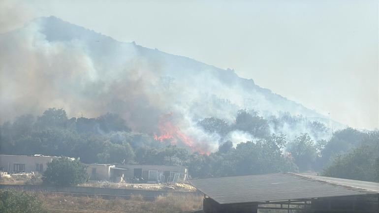 Bodrumda çıkan maki yangını kontrol altında