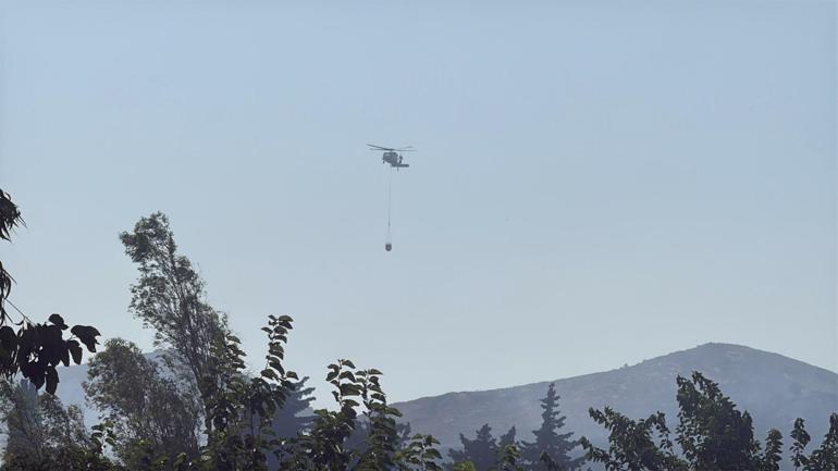 Bodrumda çıkan maki yangını kontrol altında