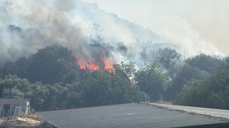 Bodrumda çıkan maki yangını kontrol altında