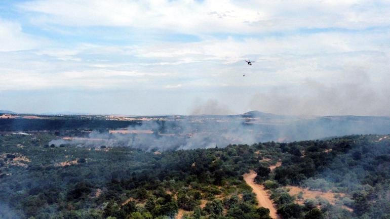 Edirnede orman yangını