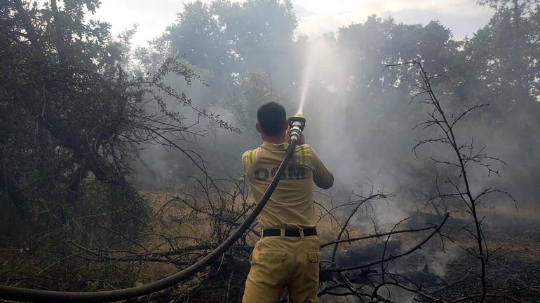 Edirnede orman yangını