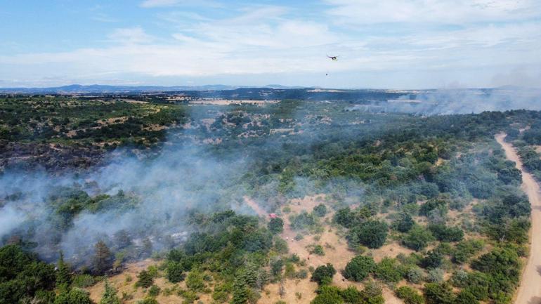 Edirnede orman yangını