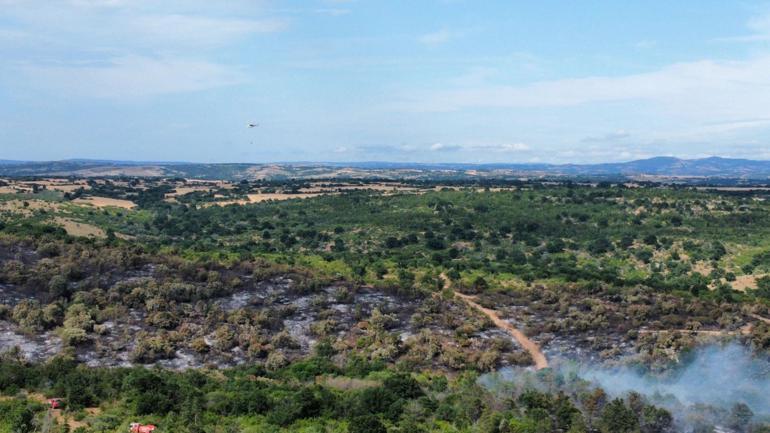 Edirnede orman yangını
