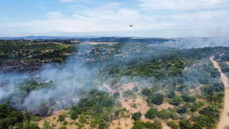 Edirnede orman yangını