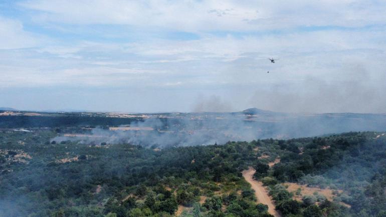 Edirnede orman yangını