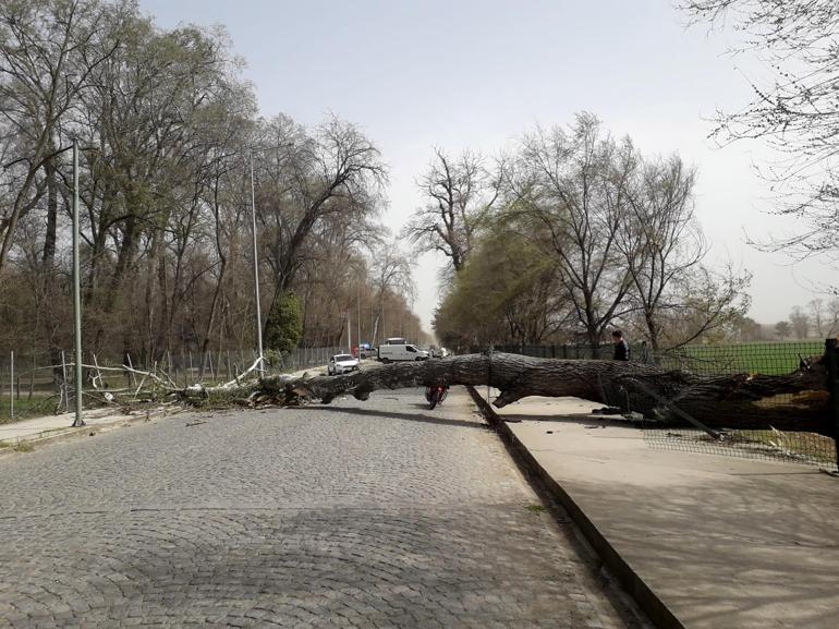 Marmara Bölgesi için kuvvetli rüzgar uyarısı