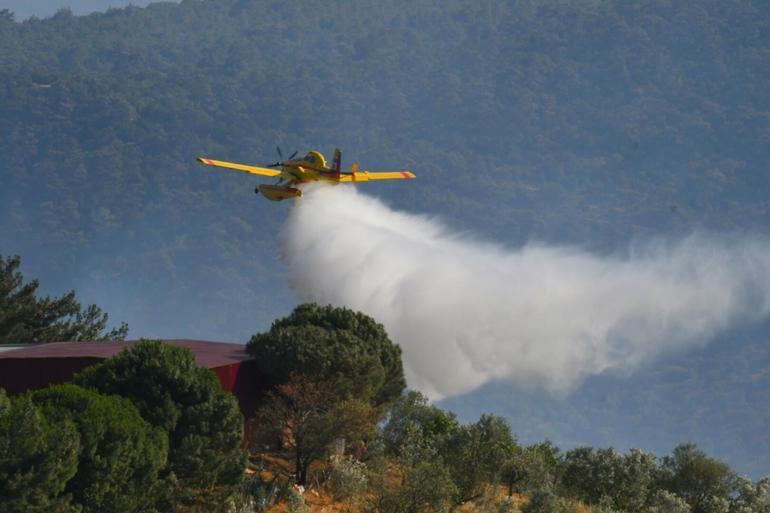 Balıkesirde orman yangını