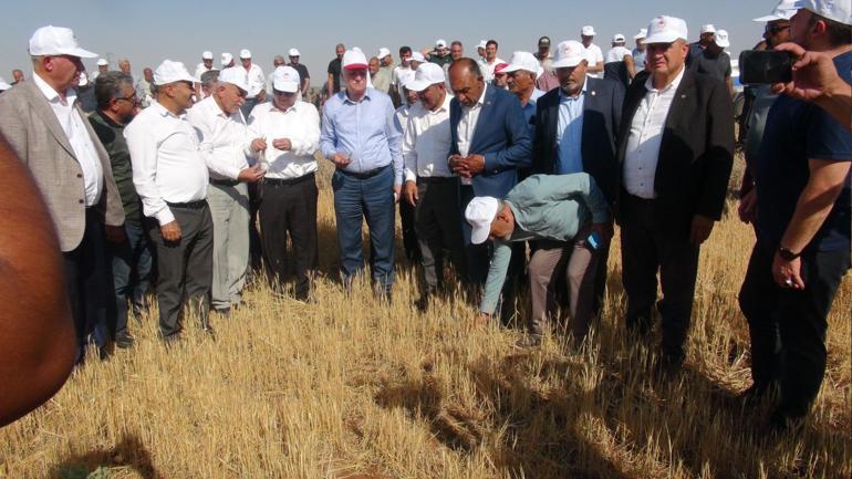 TZOB Genel Başkanı Bayraktar: Kuraklık afeti bizi yormaya devam edecek