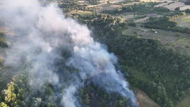 Bursada çöplükteki yangın ormana sıçradı