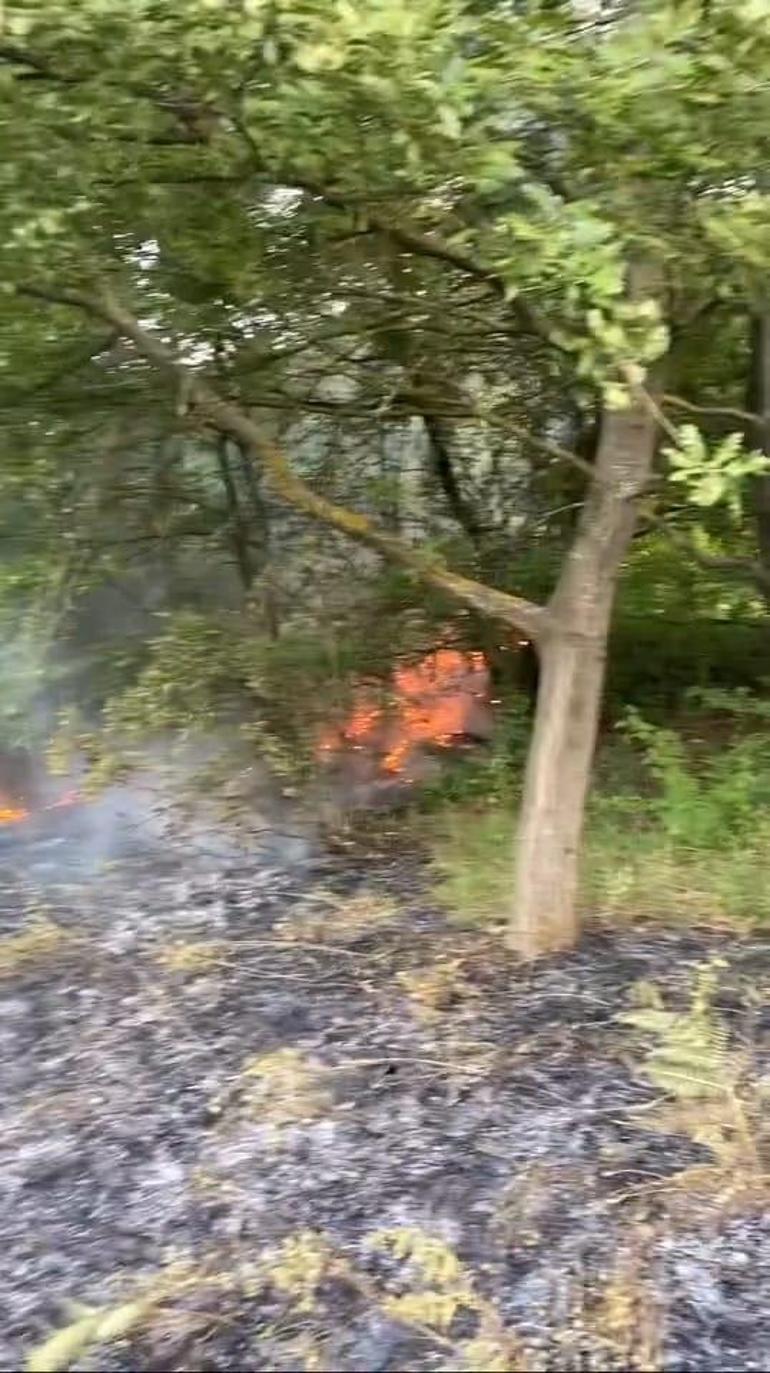 Bursada çöplükteki yangın ormana sıçradı
