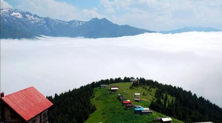 Ekolojik sistem iklim krizine ayak uyduramıyor