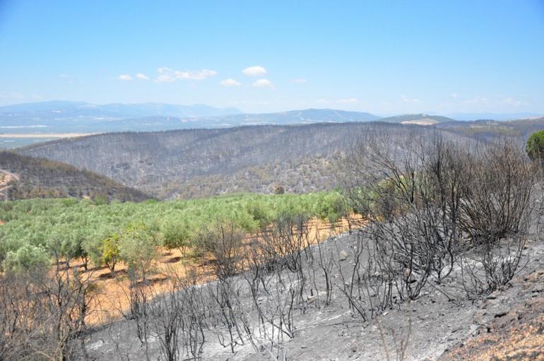 Manisadaki orman yangını 2’nci gününde