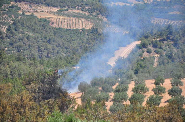 Manisadaki orman yangını 2’nci gününde