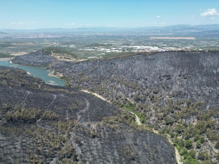 Manisadaki orman yangını 2’nci gününde