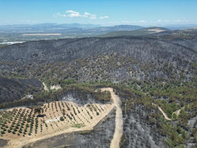 Manisadaki orman yangını 2’nci gününde