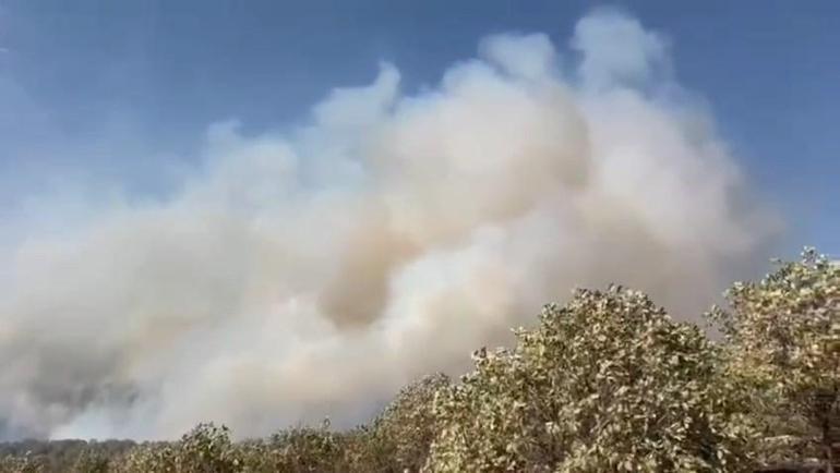 Mardin’deki örtü yangını kontrol altında