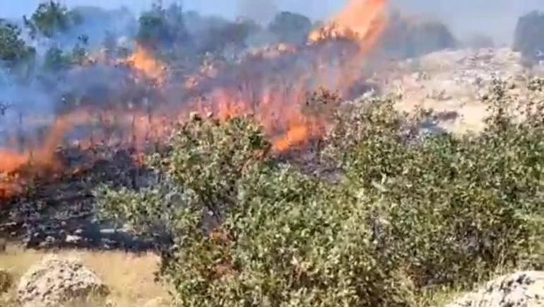 Mardin’deki örtü yangını kontrol altında