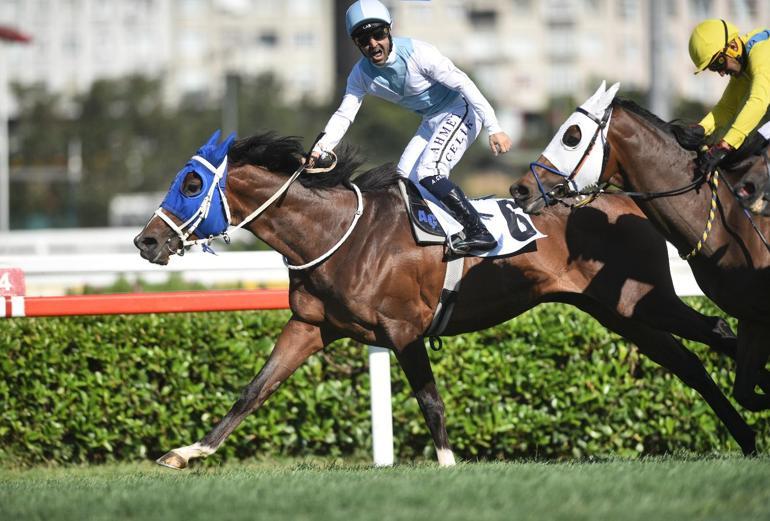 99. Gazi Koşusunu Ahmet Çelik’in jokeyliğini yaptığı “Cutha” kazandı