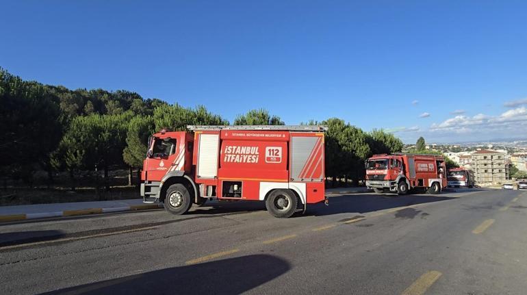 Pendik Aydos Ormanı’nda başlayan yangın büyümeden söndürüldü