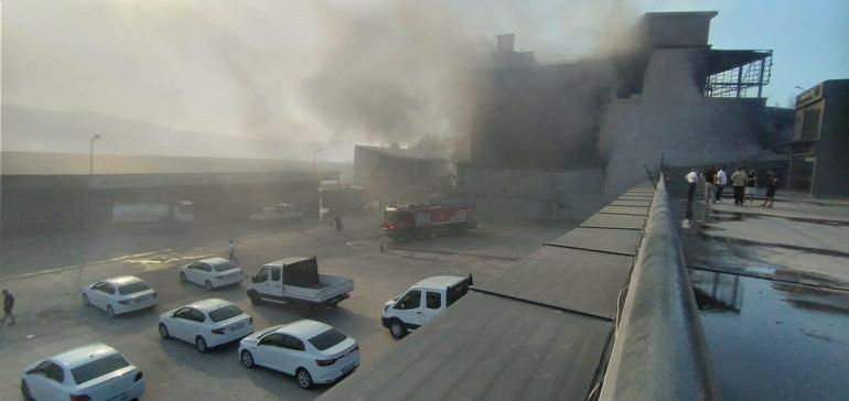 İzmirde 2 ayrı noktada orman yangını