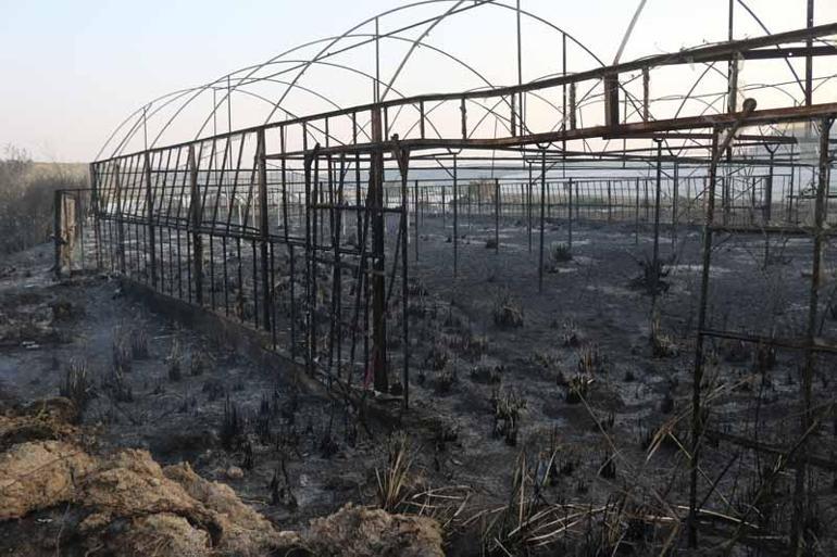 Antalya’daki orman yangını kontrol altında