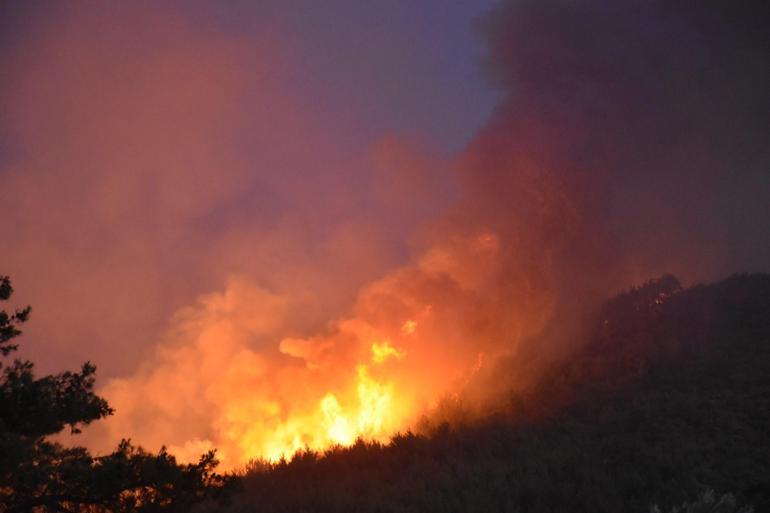 İzmirde 2 ayrı noktada orman yangını