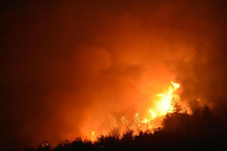 İzmirde 2 ayrı noktada orman yangını