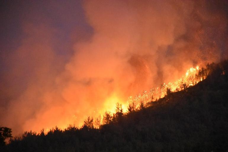 İzmirde 2 ayrı noktada orman yangını