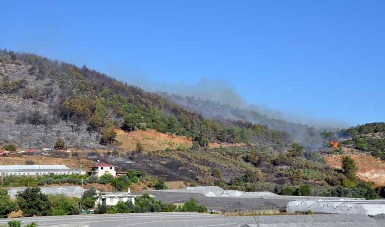 Antalyada orman yangını