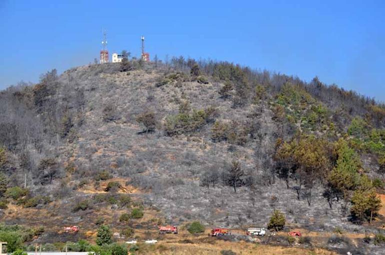 Antalyada orman yangını