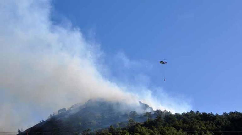Antalyada orman yangını