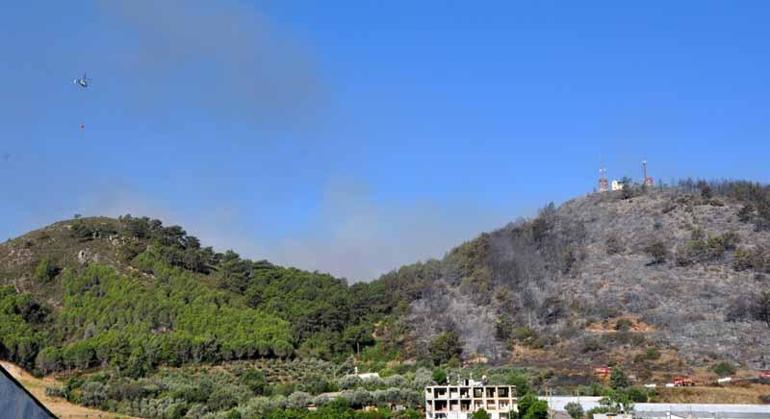 Antalyada orman yangını